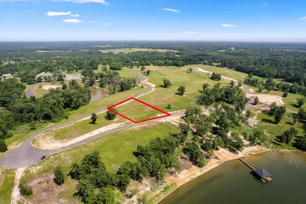 Pittsburg, TX 75686,LOT 46 TBD Waterview Lane