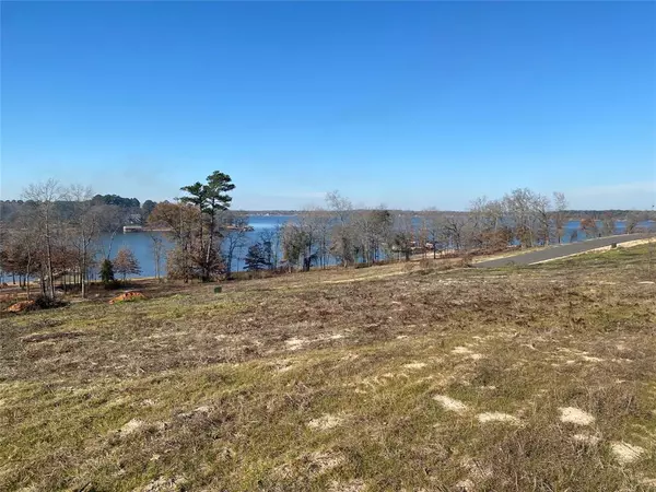 Pittsburg, TX 75686,LOT 46 TBD Waterview Lane