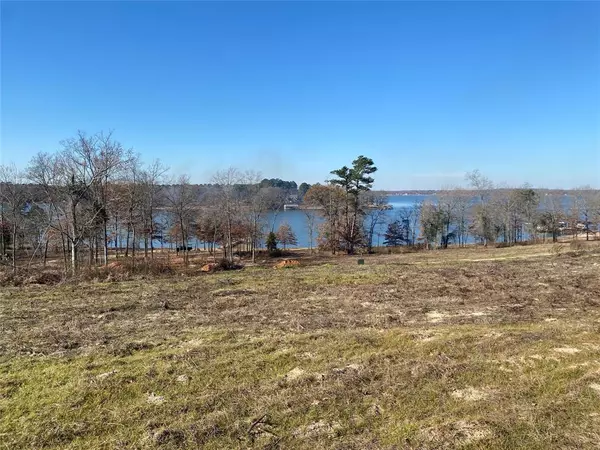 Pittsburg, TX 75686,LOT 46 TBD Waterview Lane