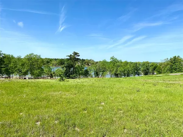 Pittsburg, TX 75686,LOT 47 TBD Waterview Lane