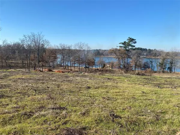 Pittsburg, TX 75686,LOT 47 TBD Waterview Lane