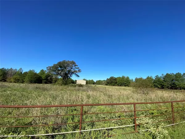 Tennessee Colony, TX 75861,0000 An County Road 2608