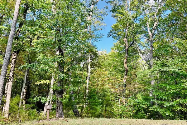 Lot 162 Trailwood Drive, Ellijay, GA 30536