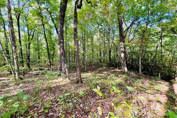 Ellijay, GA 30536,Lot 162 Trailwood Drive