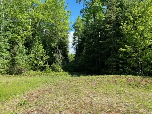 Bancroft, ON K0L 1C0,Lot 27 Bancroft Ridge DR