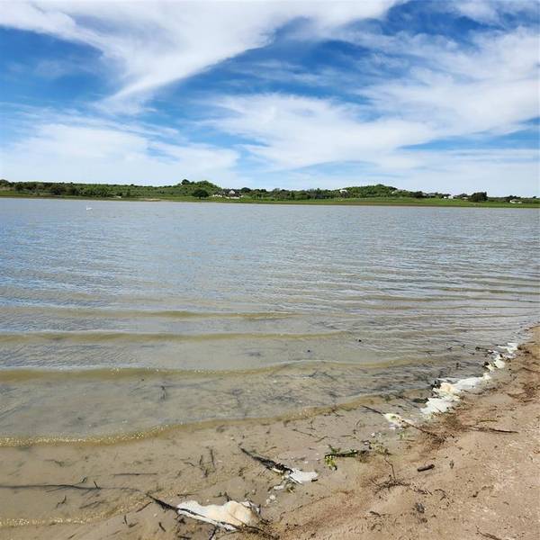 Comanche, TX 76442,Lot 93 Mercers Preserve Road