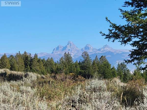 TBD W Packsaddle Drive, Tetonia, ID 83452