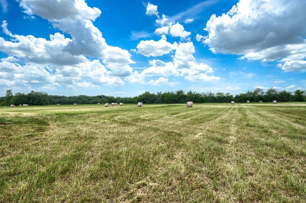 Farmersville, TX 75442,000 County Road 1077