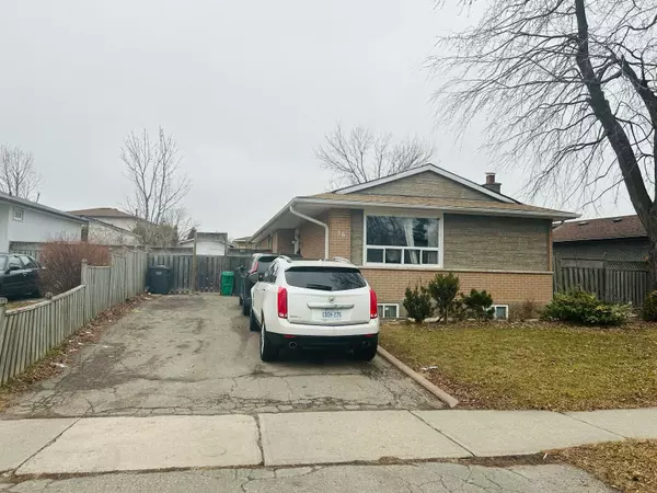 56 Reigate AVE #Main Fl, Brampton, ON L6V 2E3