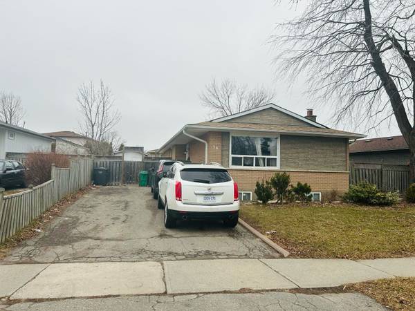 56 Reigate AVE #Main Fl, Brampton, ON L6V 2E3