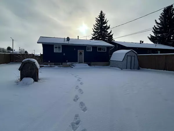 Forestburg, AB T0B 1N0,5419 48 AVE West