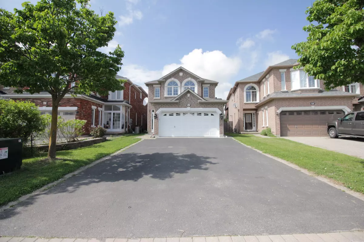 Richmond Hill, ON L4S 2H1,62 Toporowski AVE #(Bsmt)