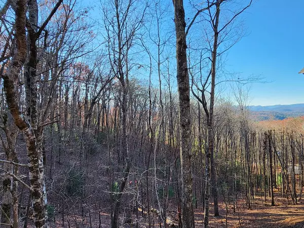 Blue Ridge, GA 30513,0 Price Road