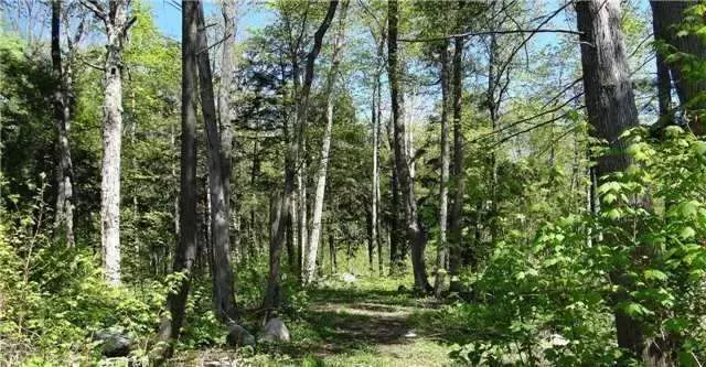 Lot E21 Escarpment Nippissing Ridge RD, Tiny, ON L9M 0H6