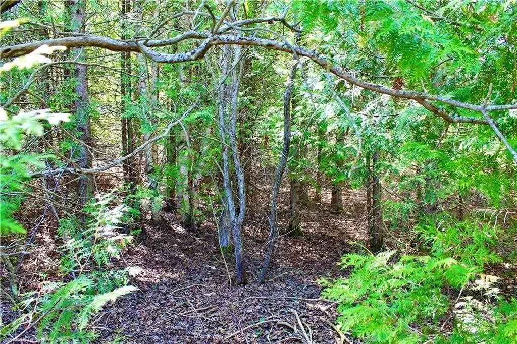 Northern Bruce Peninsula, ON N0H 2R0,Lot 43 Maple Golf CRES