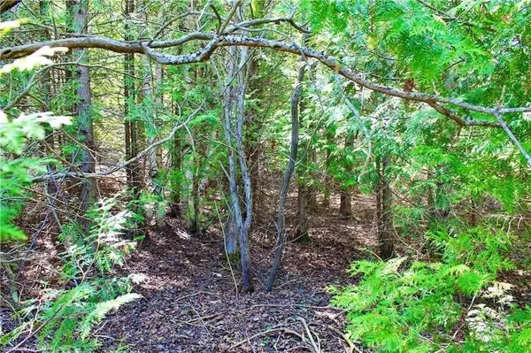 Lot 43 Maple Golf CRES, Northern Bruce Peninsula, ON N0H 2R0