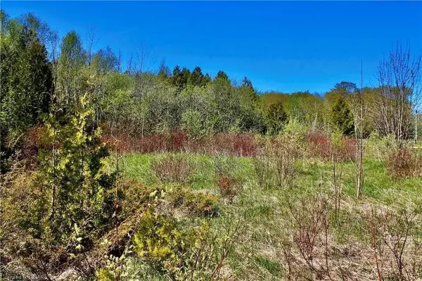 Northern Bruce Peninsula, ON N0H 2R0,Lot 43 Maple Golf CRES