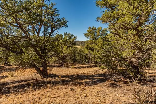 Cotopaxi, CO 81223,TBD MB McClure Gulch Road