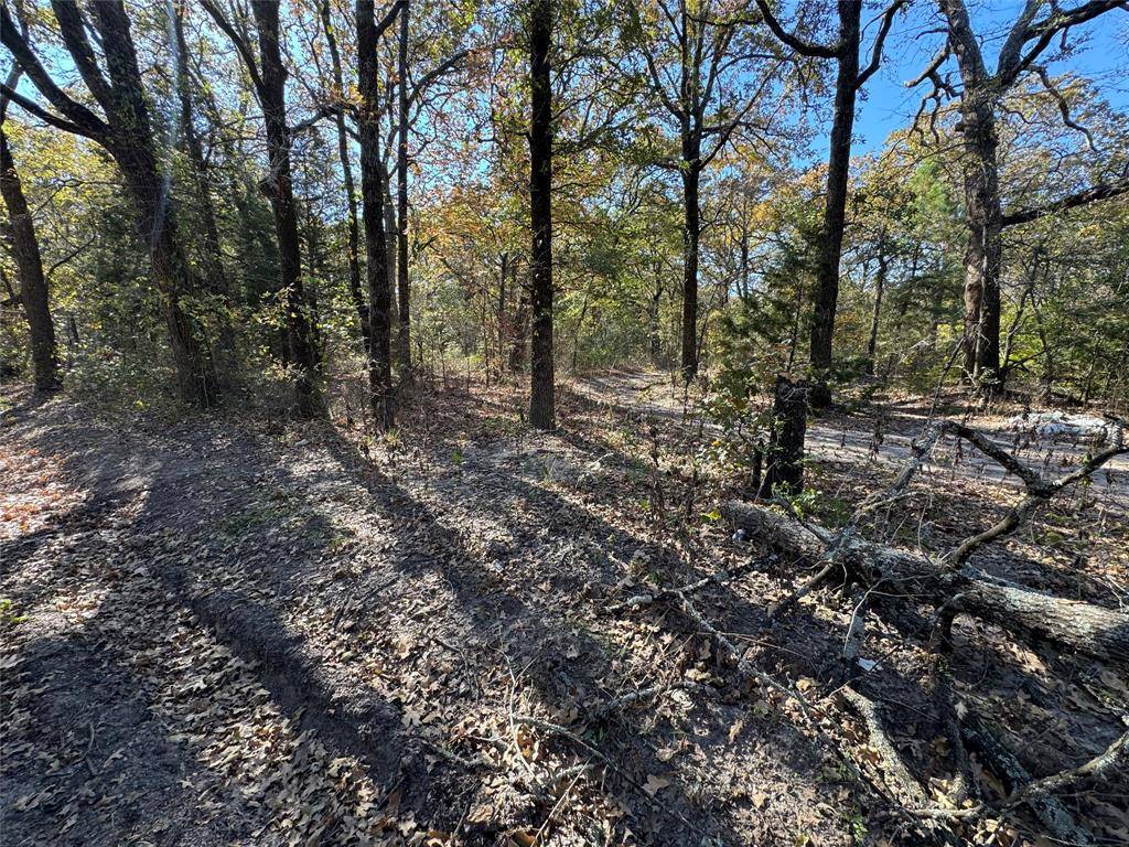 Payne Springs, TX 75156,00 Glen Oaks Road