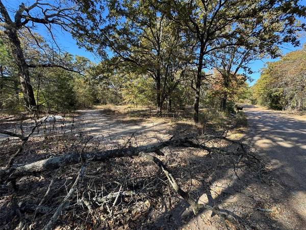 Payne Springs, TX 75156,00 Glen Oaks Road