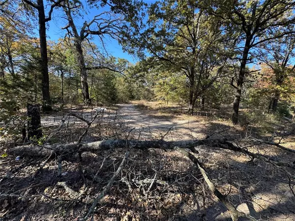 Payne Springs, TX 75156,00 Glen Oaks Road