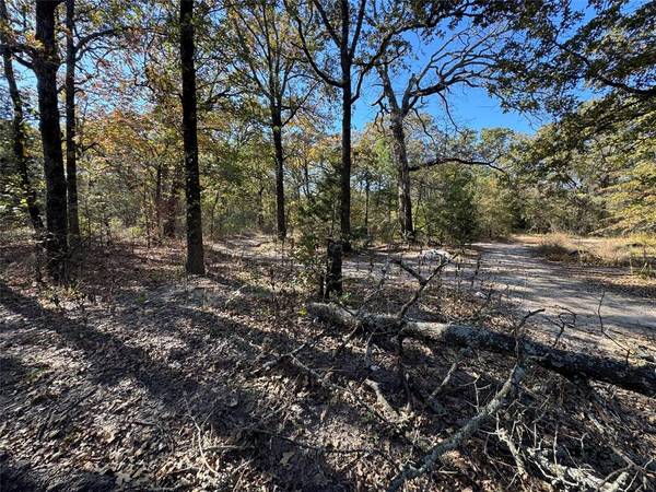 Payne Springs, TX 75156,00 Glen Oaks Road