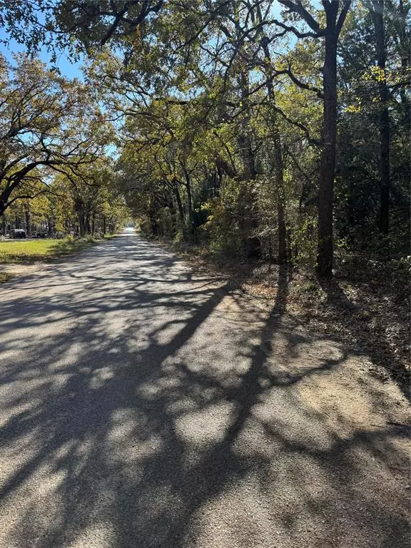 Payne Springs, TX 75156,00 Glen Oaks Road