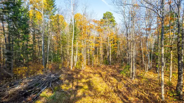 Algonquin Highlands, ON P0A 1E0,0 Kawagama Lake RD