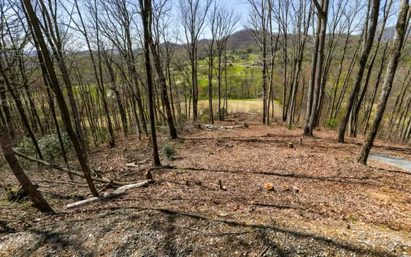 17M Ridges Overlook,  Hayesville,  NC 28904