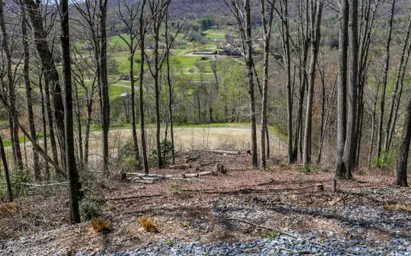 Hayesville, NC 28904,17M Ridges Overlook