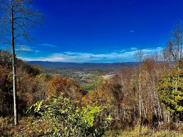 0 Mason Way, Brasstown, NC 28902