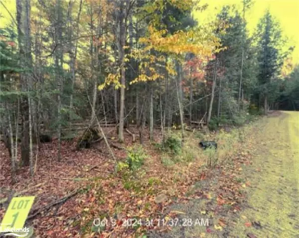 Mcmurrich/monteith, ON P0A 1Y0,LOT 1 AXE LAKE RD