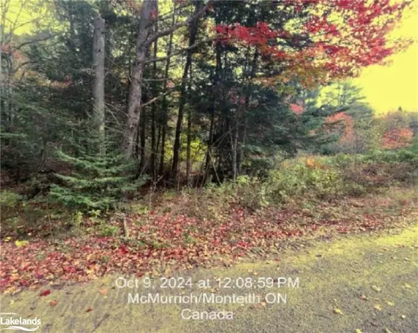 Mcmurrich/monteith, ON P0A 1Y0,LOT 5 AXE LAKE RD