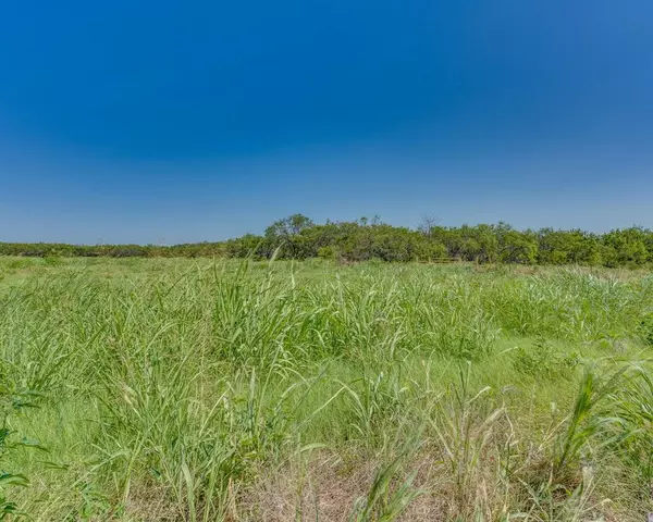 Blooming Grove, TX 76626,0001 NE CR 4040