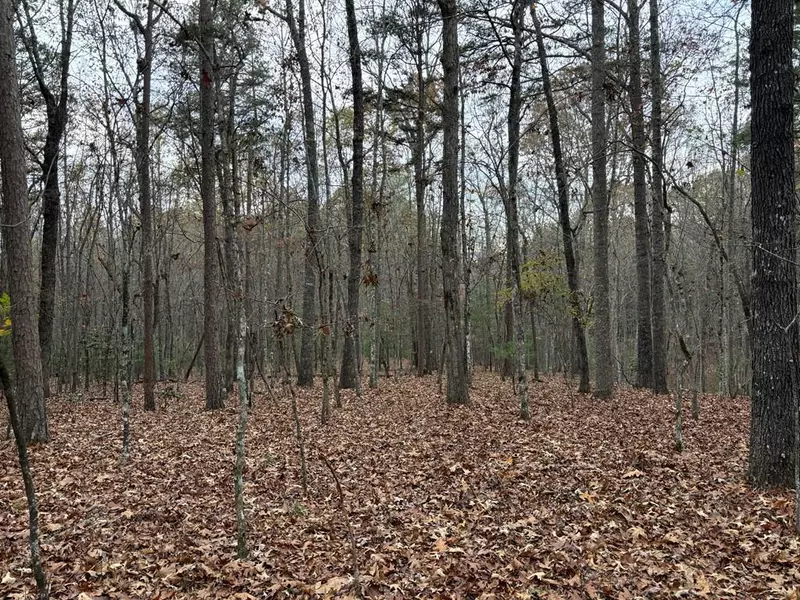 3.5AC Liberty Hill Road, Morganton, GA 30560