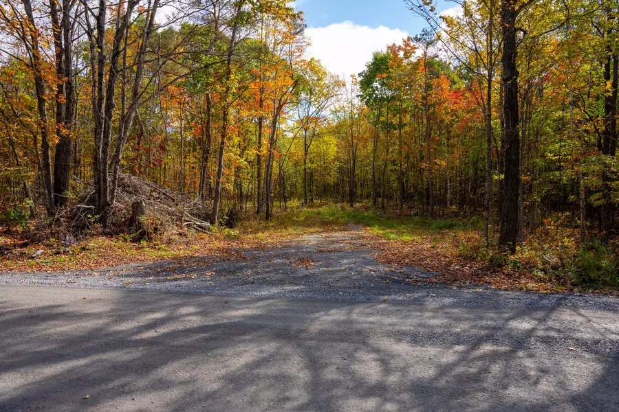 PT LOTS 12 & 13 DEVIL LAKE RD, South Frontenac, ON K0G 1X0