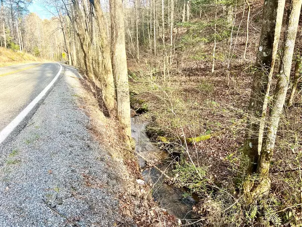 Ellijay, GA 30540,12 ACRE Pleasant Gap Road