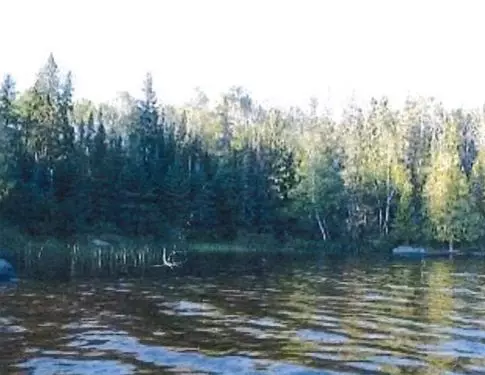 Timiskaming Remote Area, ON P0K 1S0,MCL9140 9141 Sesekinika Lake N/A