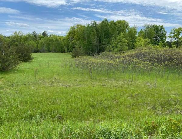 LOT 14 TRENT RIVER RD, Trent Hills, ON K0L 1Z0