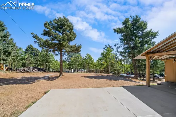 Woodland Park, CO 80863,269 Evergreen RD