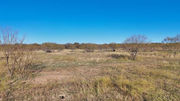 Mineral Wells, TX 76068,TBD Lot 23 Brazos Valley RD Road