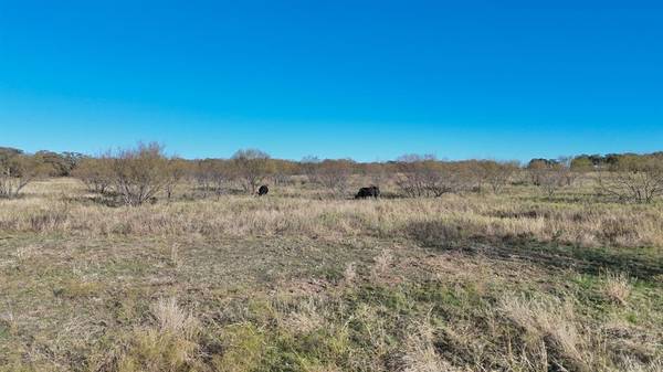 Mineral Wells, TX 76068,TBD Lot 23 Brazos Valley RD Road