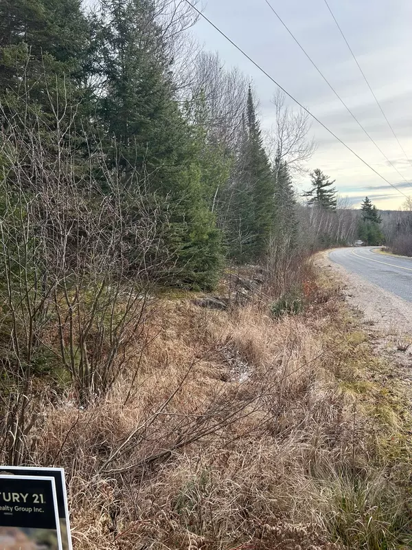 Hastings Highlands, ON K0L 2S0,0 Madawaska RD