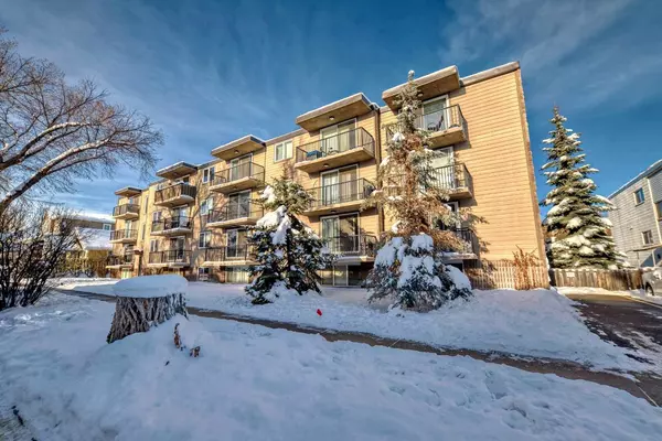 310 4 AVE Northeast #303, Calgary, AB T2E0J3