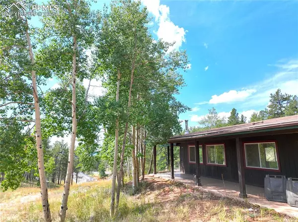 Florissant, CO 80816,3721 County Road 3