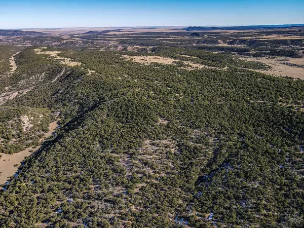 Walsenburg, CO 81089,106 Colorado Land and Grazing