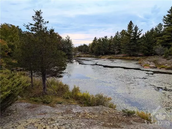 Rideau Lakes, ON K0G 1X0,0 MOUNTAIN RD