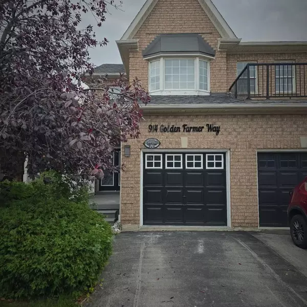 914 Golden Farmer WAY #Lower, Mississauga, ON L5W 1B4