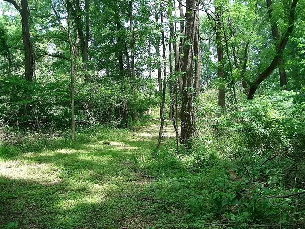 Pohatcong Twp., NJ 08865,0 Mellicks Woods