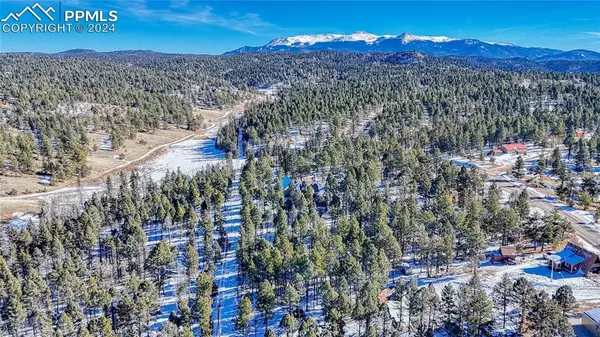 Florissant, CO 80816,28 Deer CIR